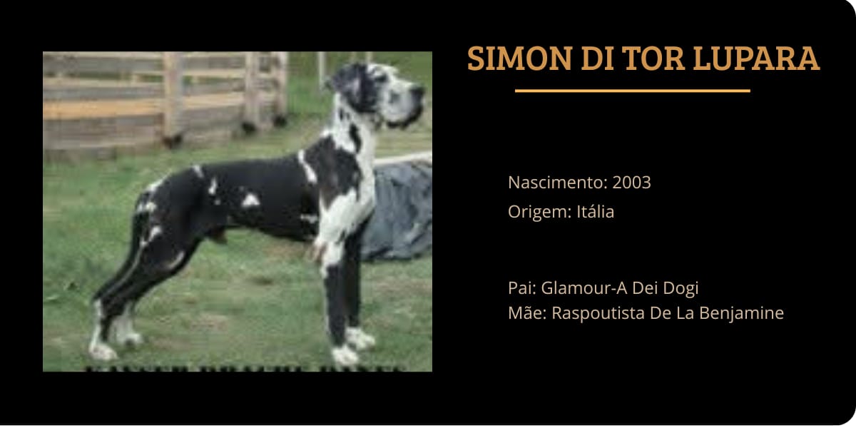 SIMON CARD.jpeg