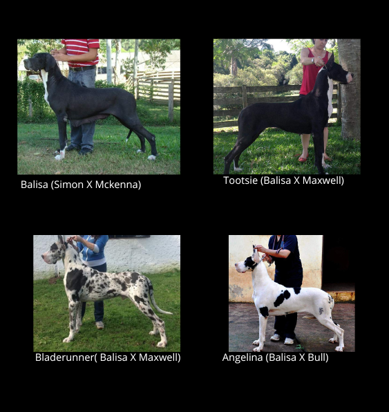 Legado Fundamentum II (1).png