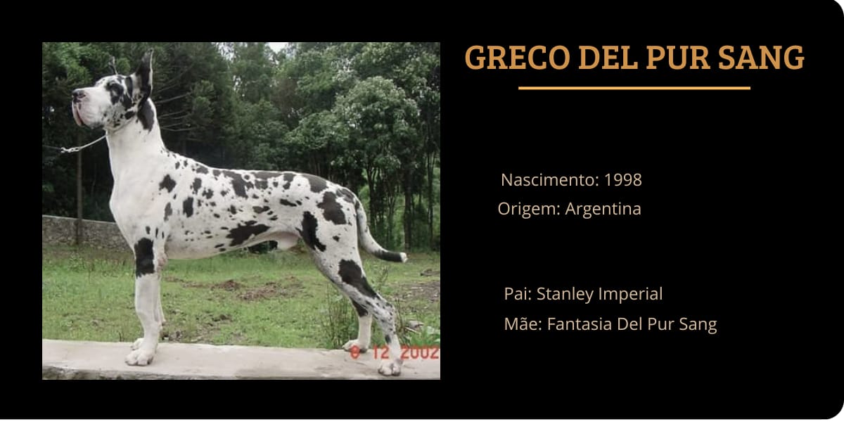 GRECO.jpeg