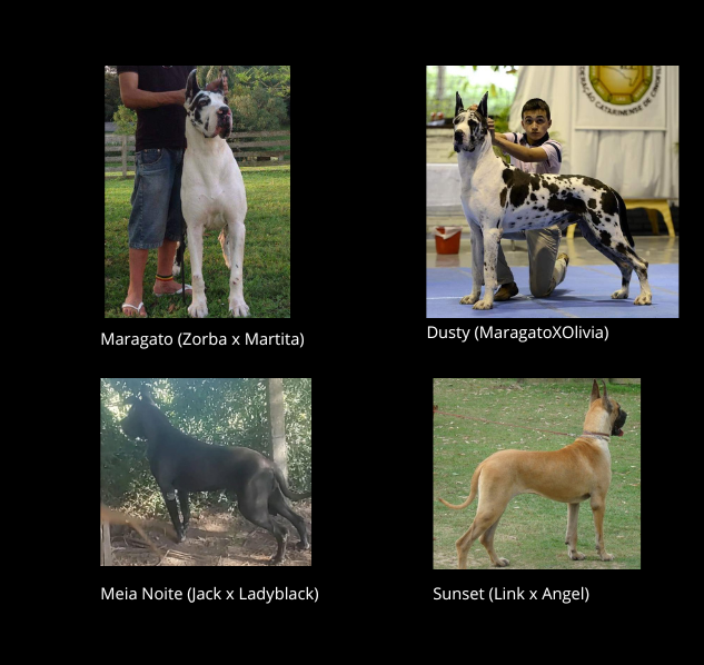 Legado Fundamentum III (1).png