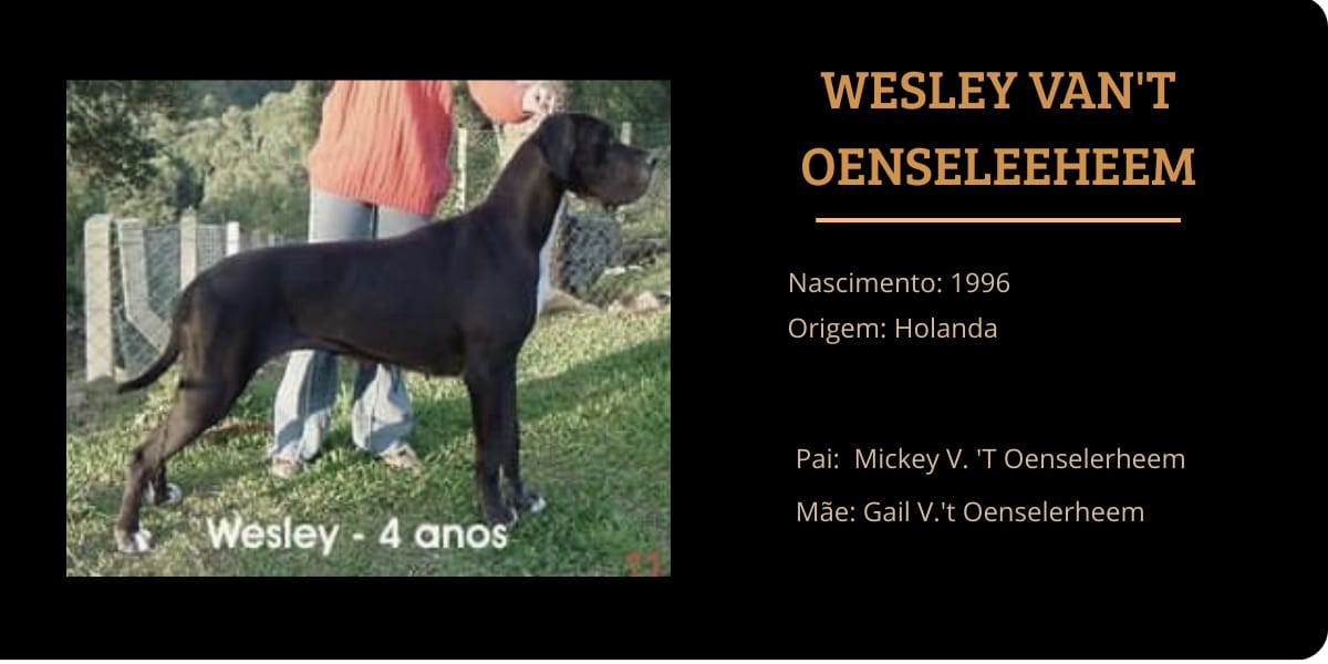 WESLEY.jpeg
